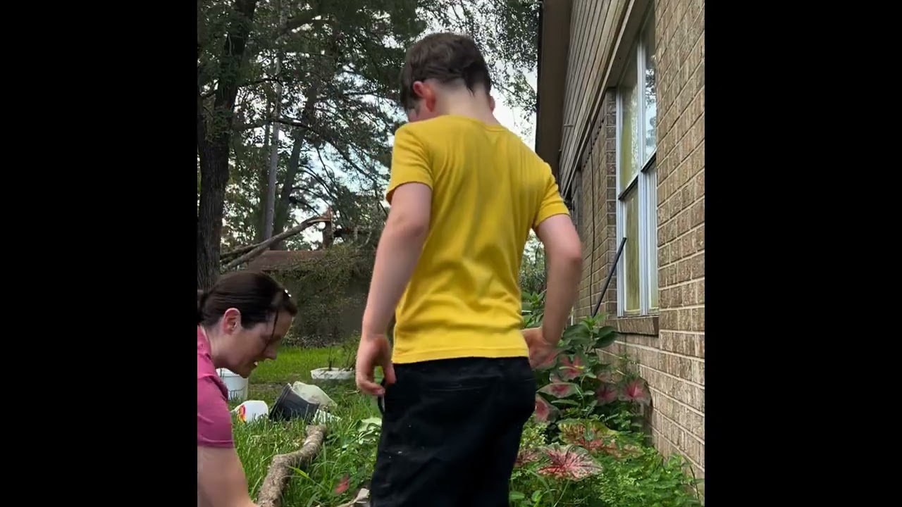 Weeding/Mulching Timelapse 