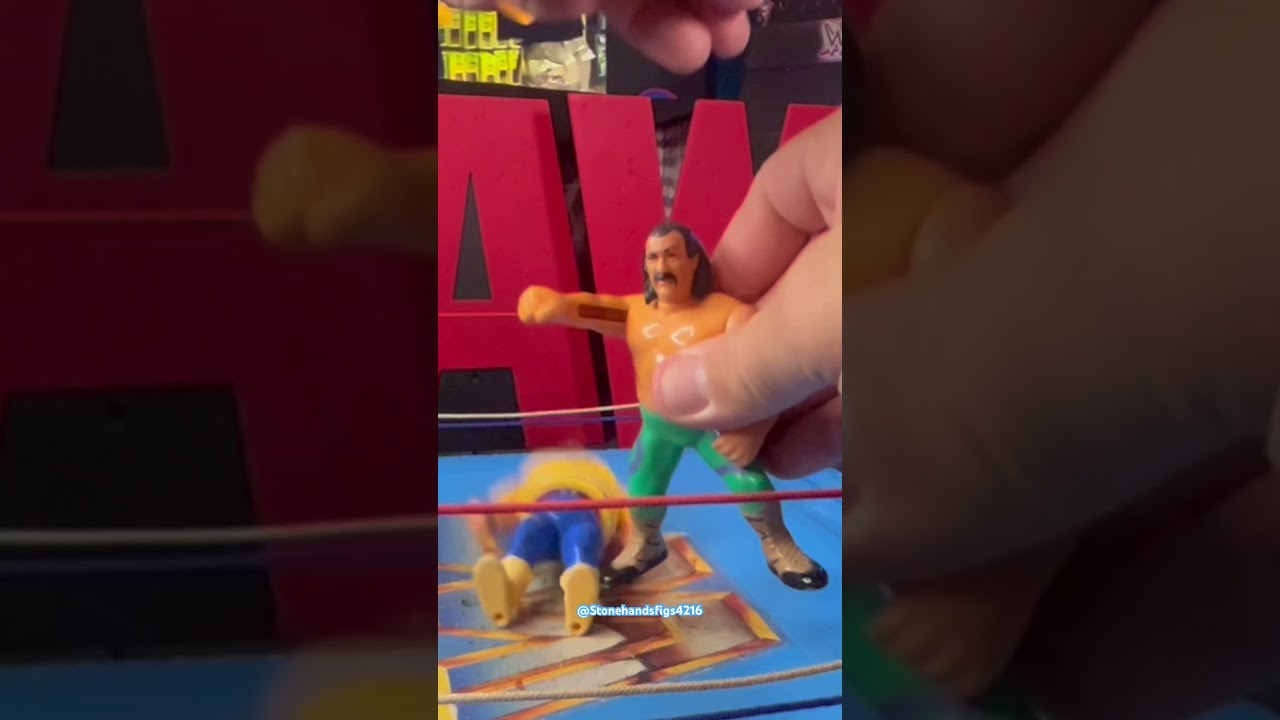 WWF Hasbro Series 1 Actions !