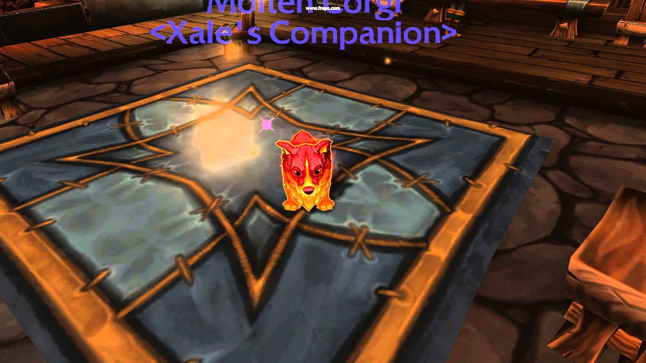 Molten Corgi