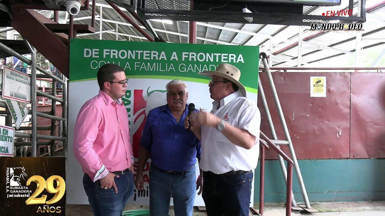 29 A&ntilde;os Subasta Ganadera de Panam&aacute; Bagala - Chiriqu&iacute;