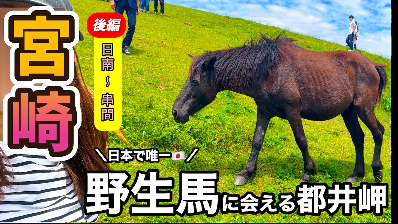 【宮崎観光10箇所】最南端「都井岬」には、 ”絶景そして馬!!🐎”【後編:鵜戸神宮/モアイ/運河など】