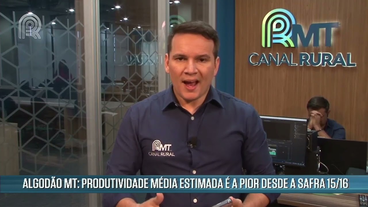 Produtividade m&eacute;dia do algod&atilde;o &eacute; a pior desde a Safra 15/16 | Canal Rural