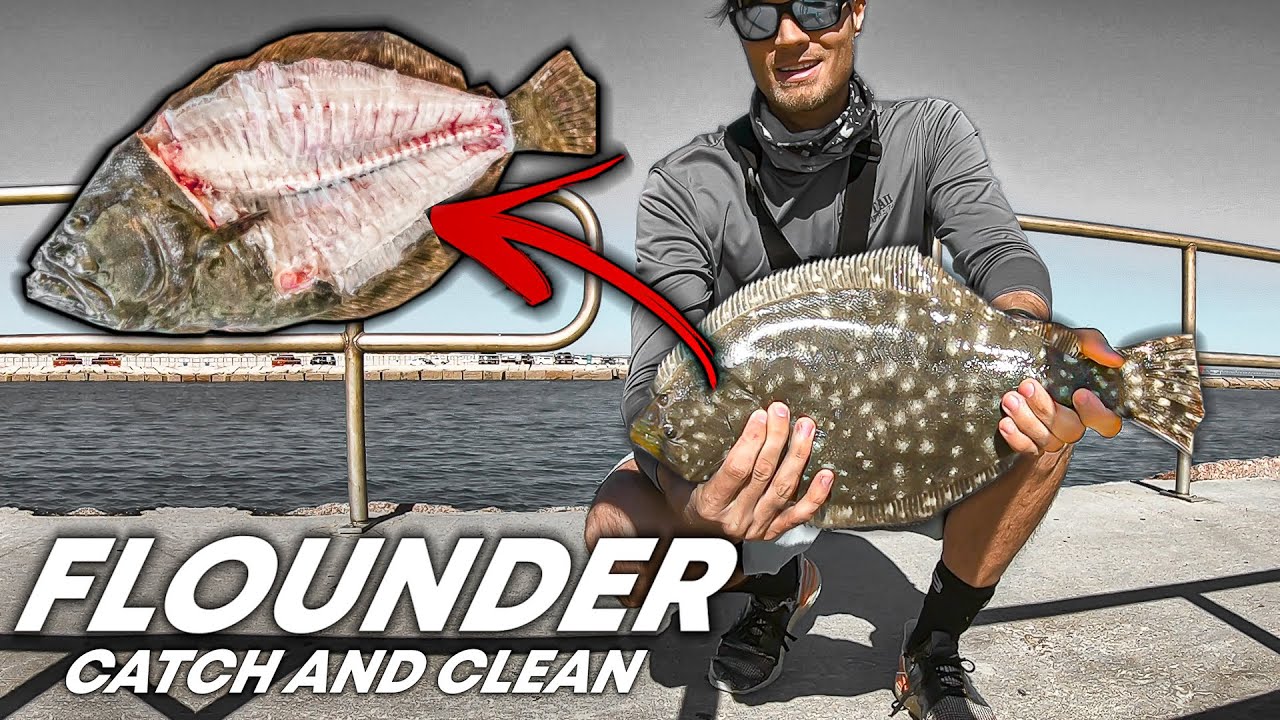 using live bait for flounder? FLOUNDER CATCH AND CLEAN