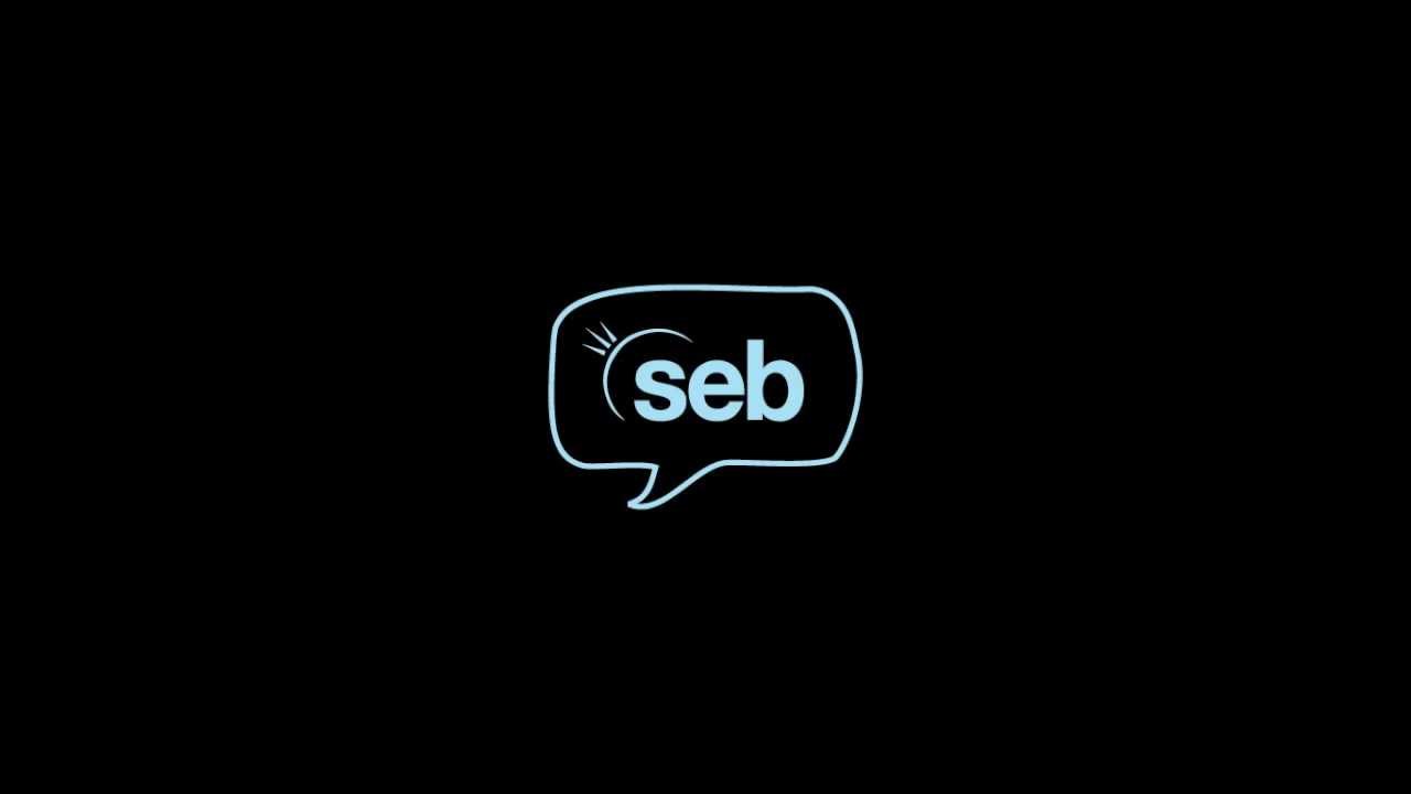 What is (seb)?