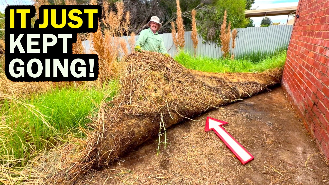 I RIPPED This up and WASN&rsquo;T READY for what I Found! - INSANE YARD TRANSFORMATION