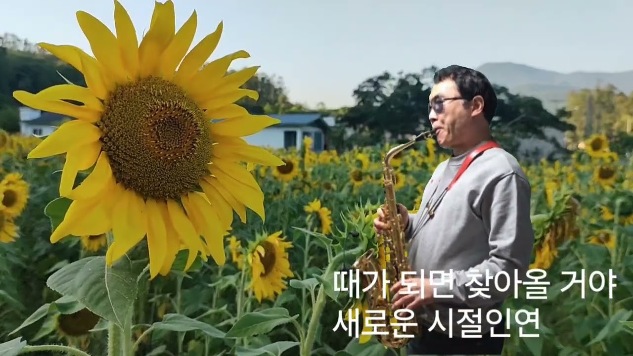 시절 인연(이찬원 노래) : &ldquo;Sijeol Inyeon&rdquo;(song by Lee Chan-won)