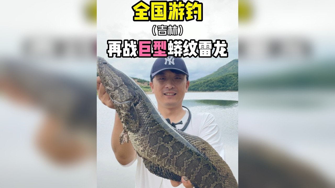探钓米级黑鱼过程中，发现一种能把鱼钓干净的饵。