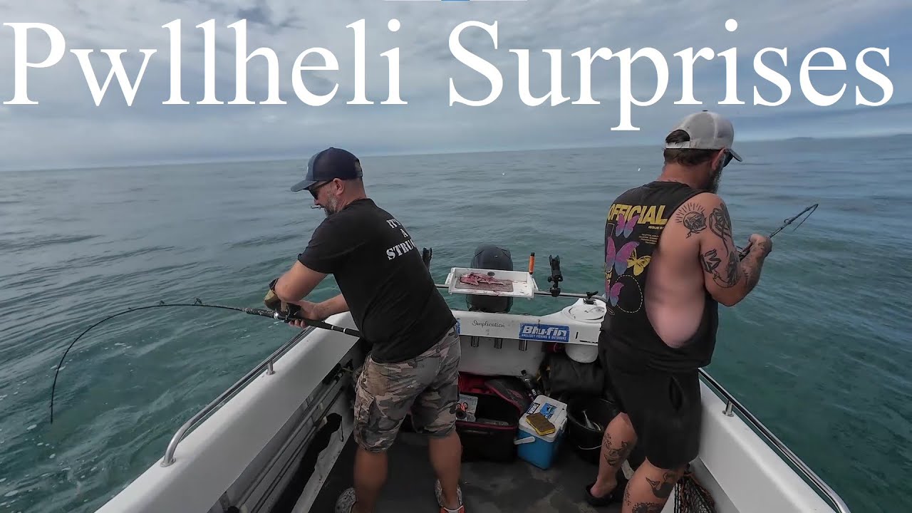 Pwllheli Is Solid With BIG FISH - Surprise Captures & Underwater Footage