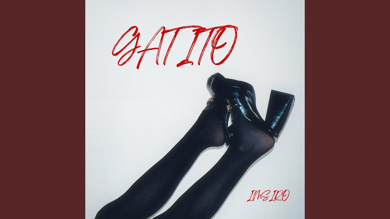 Gatito
