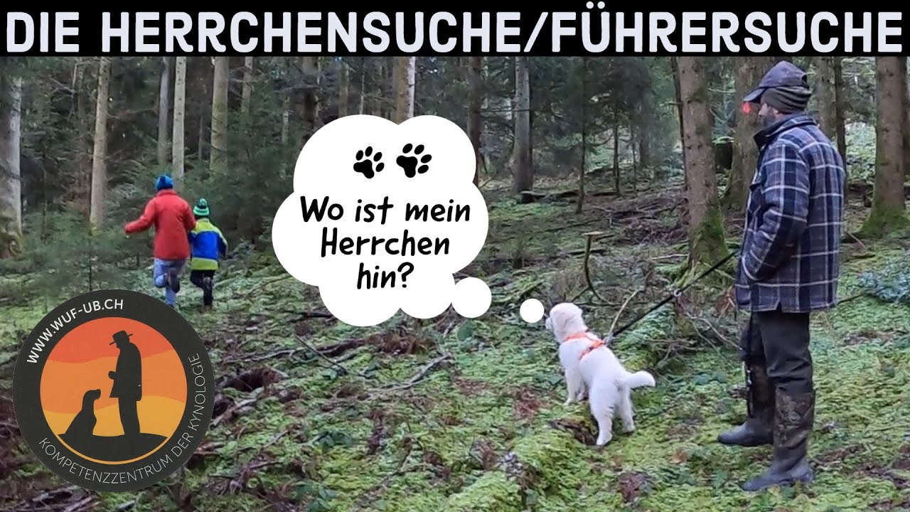 F&uuml;hrersuche / Herrchensuche - 