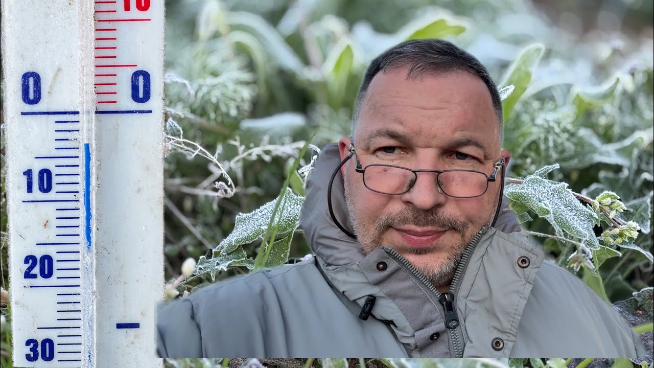 Беларусь. 06.05.2025. Очередной заморозок на винограднике.
