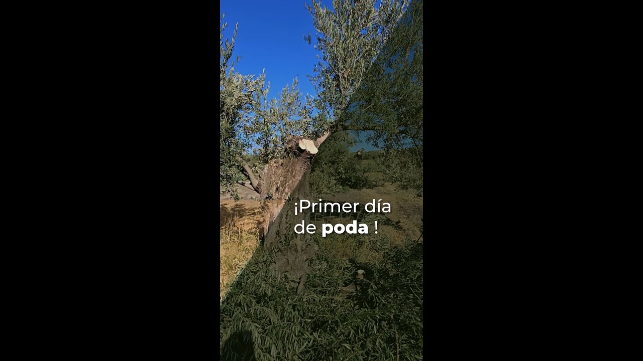 PRIMER DÍA DE PODA 2023