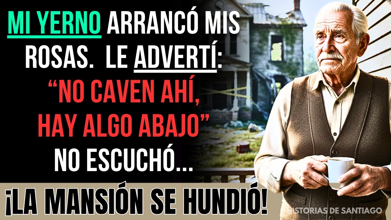 Mi Yerno Ignoró Mi Advertencia Al Cavar La Piscina: La Mansión Se Hundió En Segundos...
