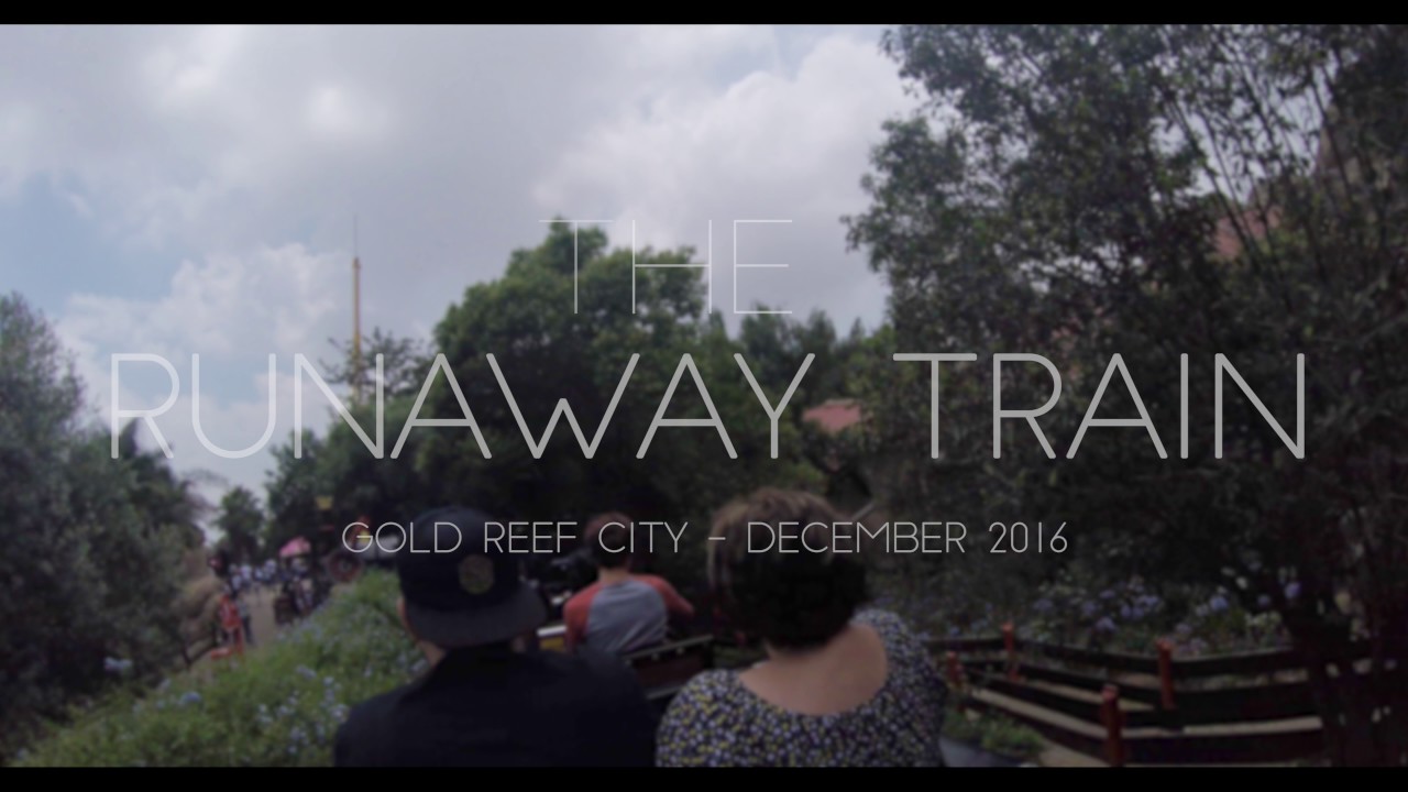 Gold Reef City - The Anaconda, the Tower of Terror, the Golden Loop and the Runaway Train.