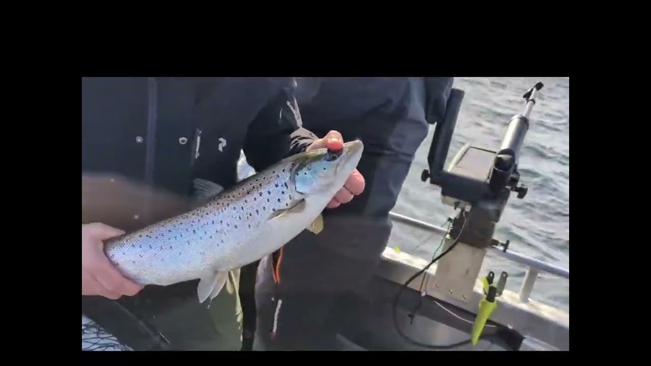 Ädelfiske med MK fishing på Vättern Påsken 2024