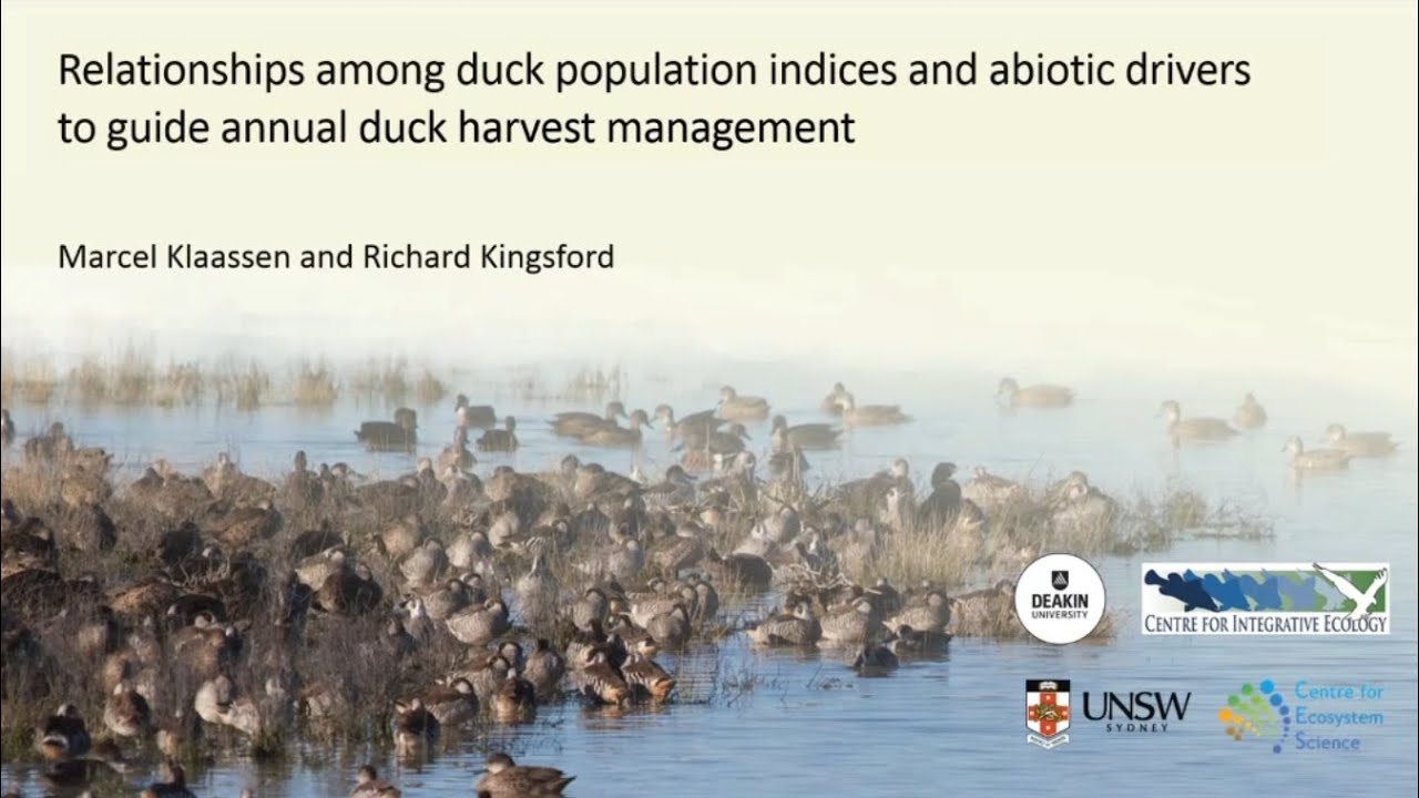 An Interim Harvest Management Framework presentation 2022
