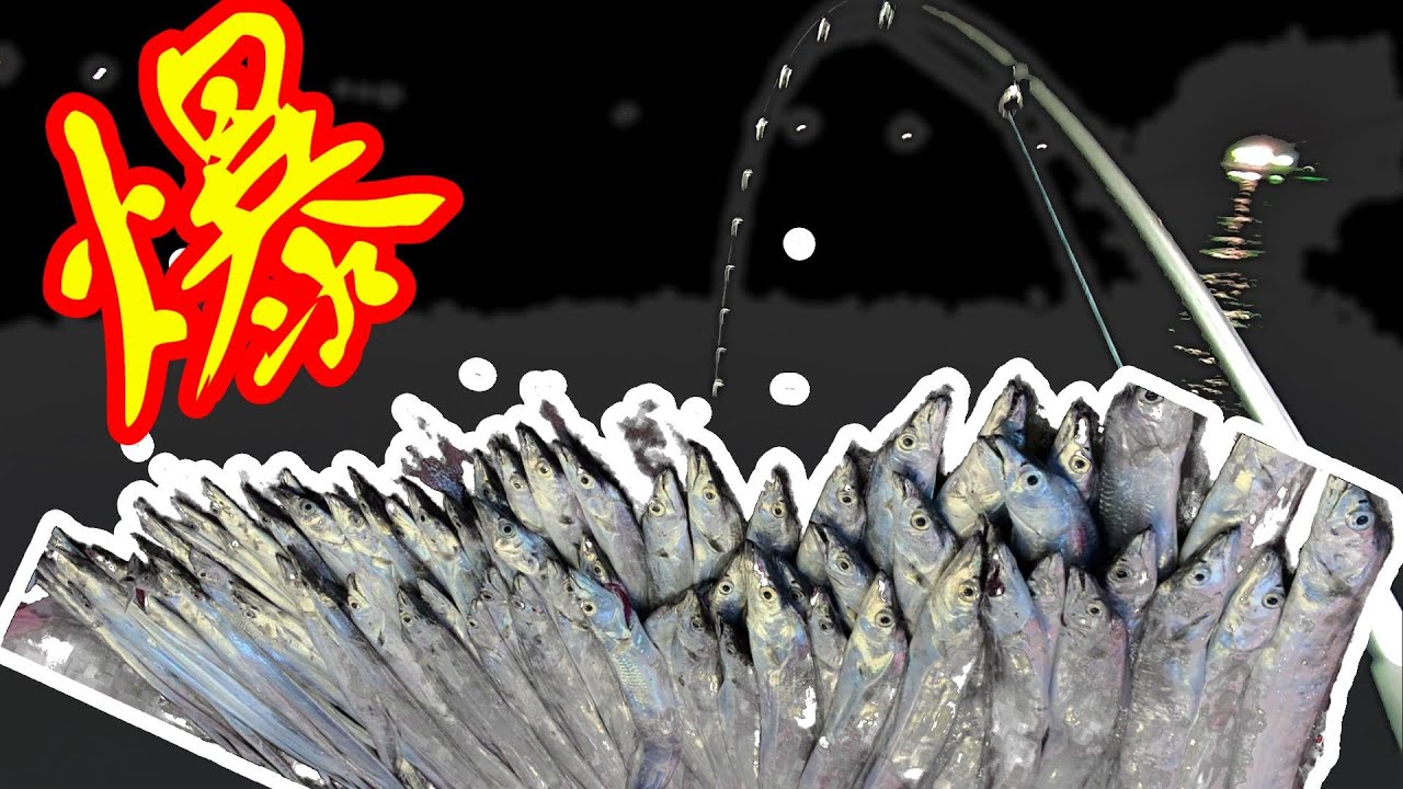 【釣魚】鐵板釣法 船釣白帶魚 純釣魚視頻 BD名哥 釣魚大公開