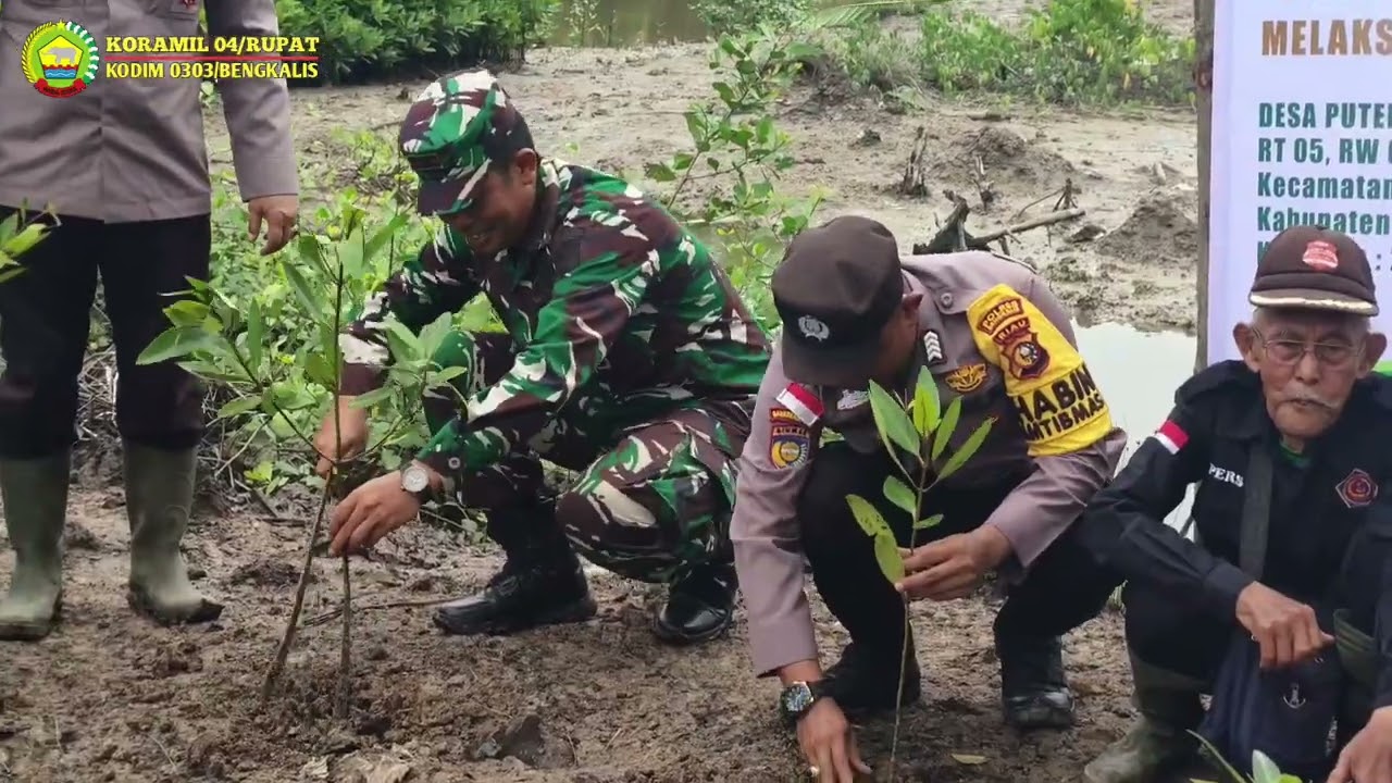 Penanaman Bibit Kayu Bakau Desa Puteri Sembilan, Kecamatan Rupat Utara.
