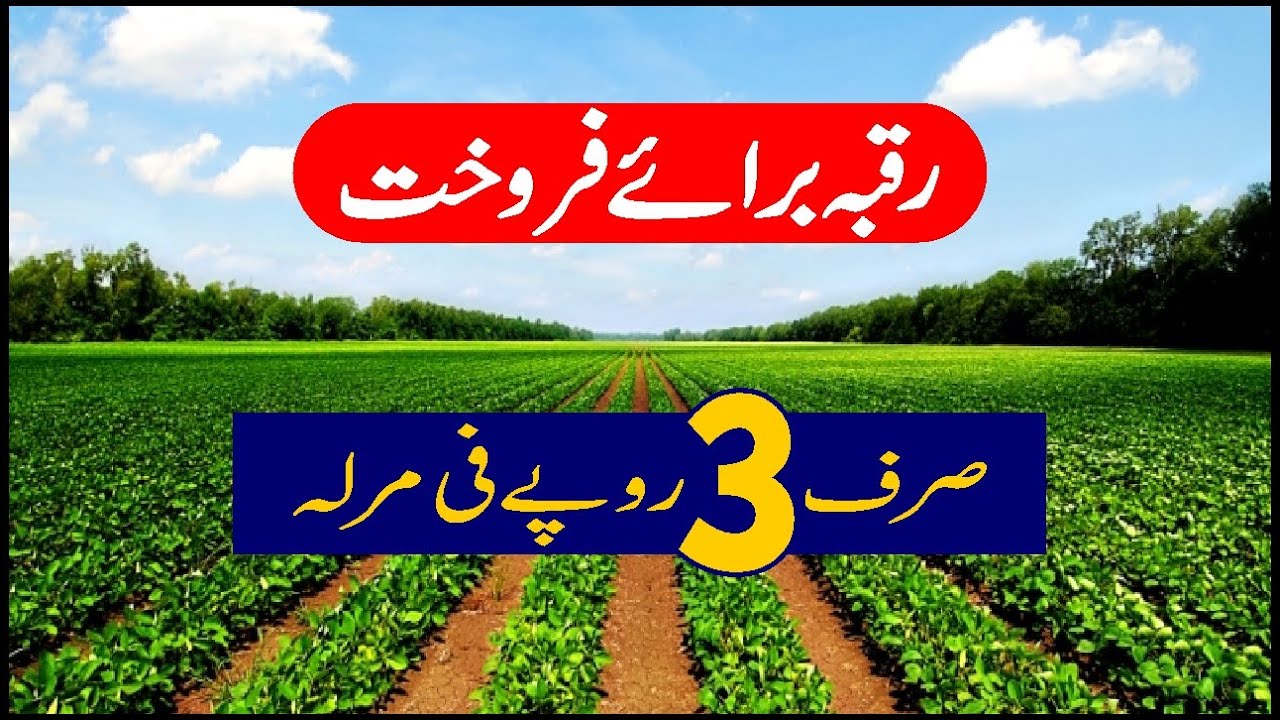 Property for sale in Pakistan || 3 Rupees Per Marla || How to buy land || Real Estate || MZS TV