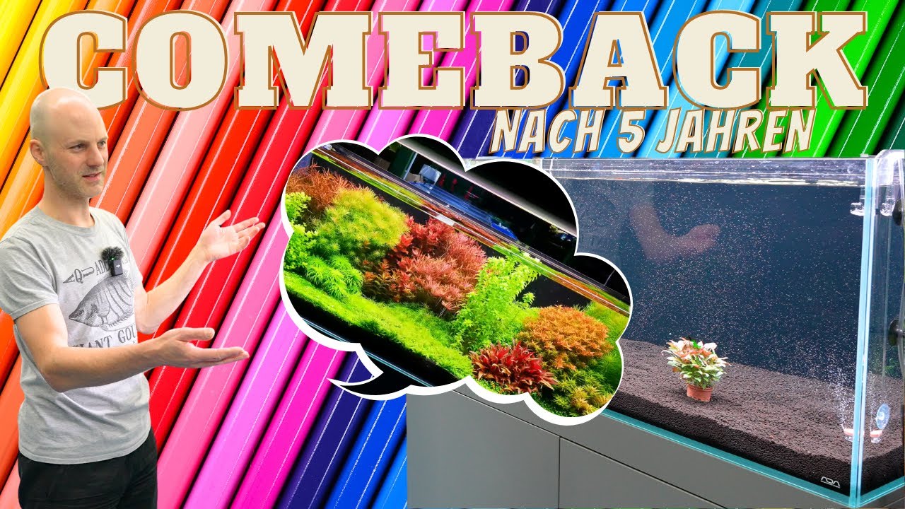 Dieses Schauaquarium wird ein Comeback nach 5 Jahren! AQUAddicted! richtet ein...