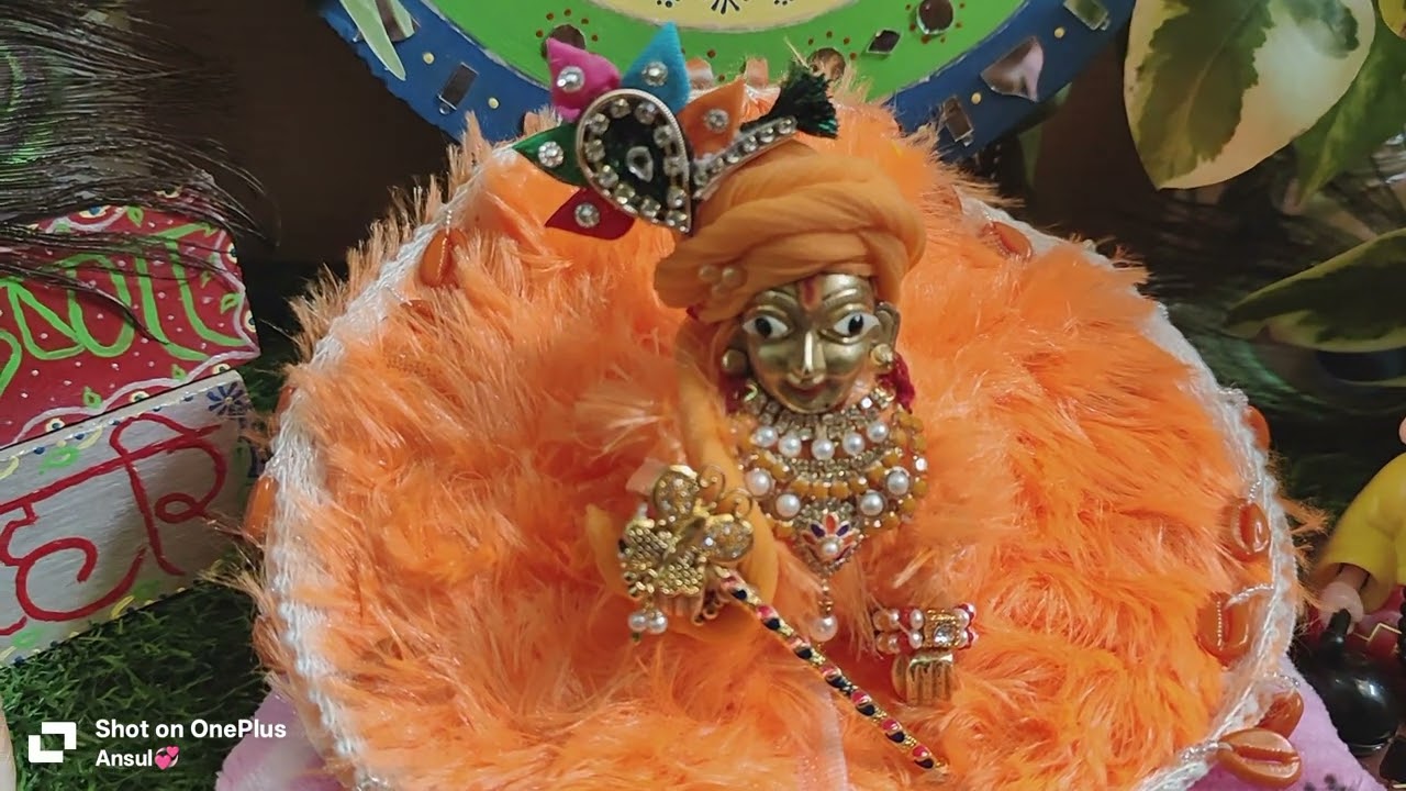 Thakurji / Laddugopal Shringar Seva ✨🌈🙏#trending #viralvideo #yt #krishnabhakti #laddugopal #viral 