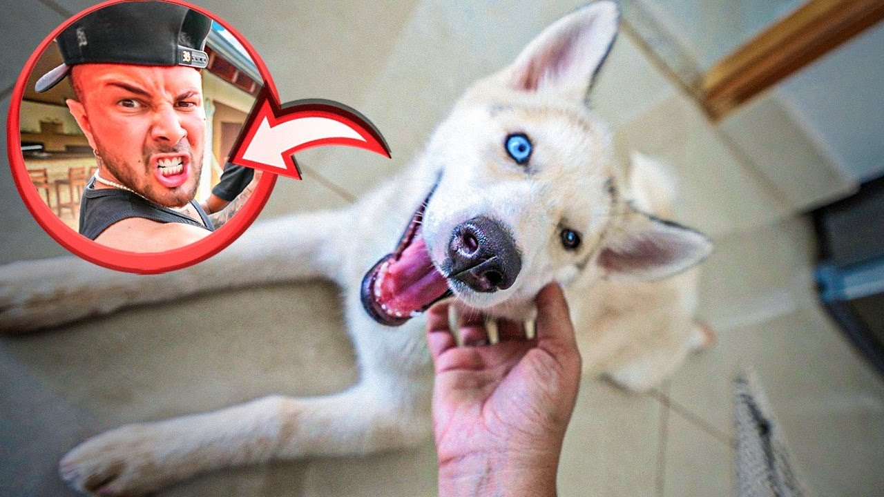 RAPTEI A CACHORRINHA FILHOTE DO LEO E ME DEI MAL