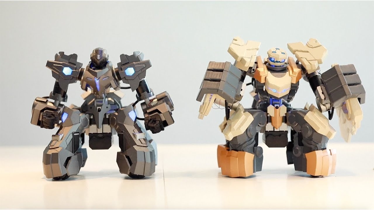 Young Chinese entrepreneurs realize robot dream