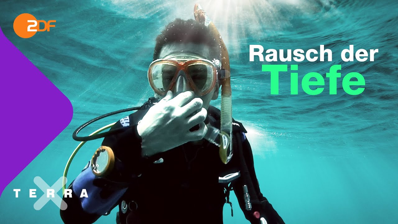 Was passiert in unserem K&ouml;rper, wenn wir tief tauchen | Terra X plus