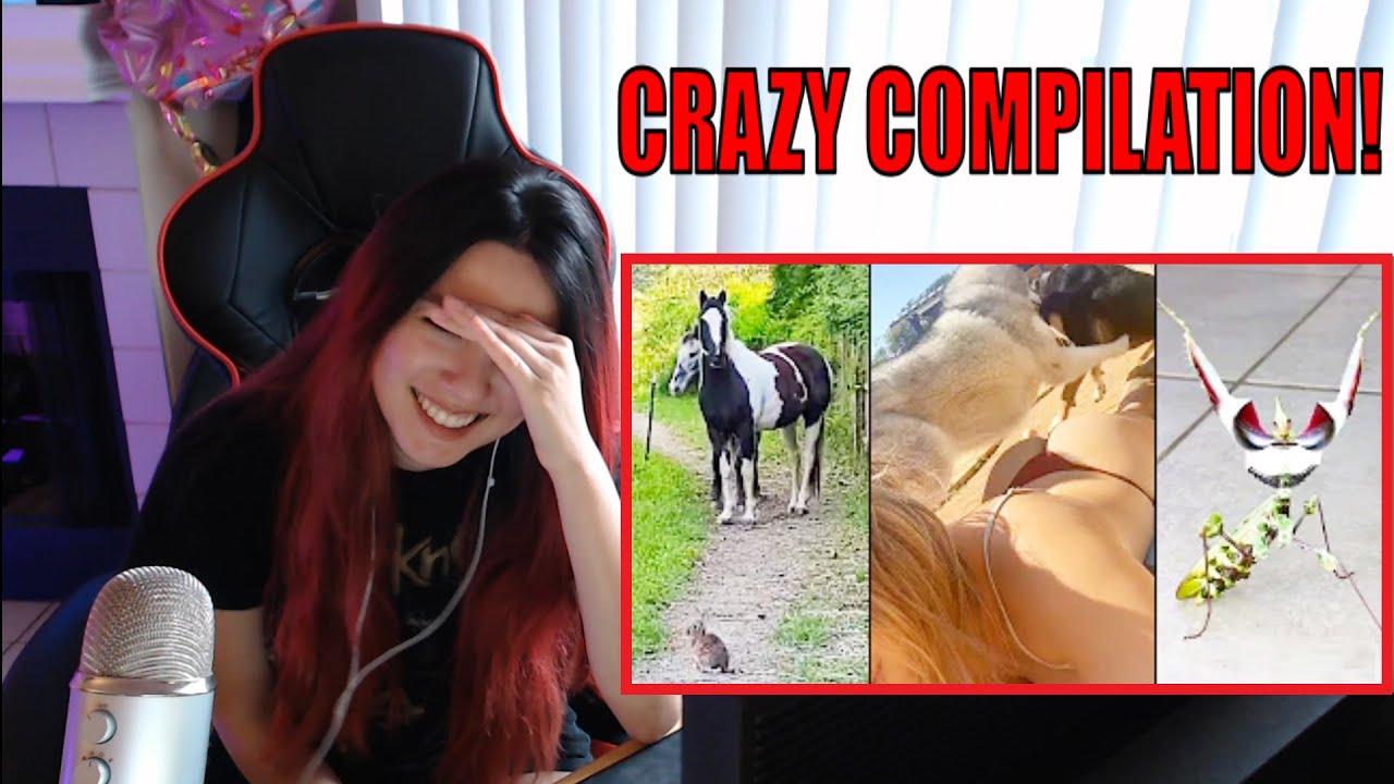РЕАКЦИЯ НА РЕЦЕНЗИИ OZZY MAN: МЕГАСБОРНИК №11
