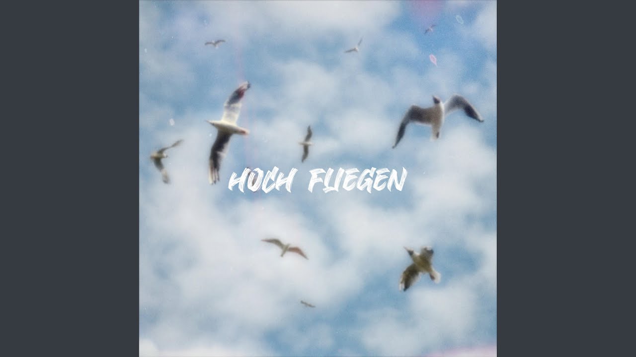 Hoch fliegen (feat. Benjamin Sweetmilk)