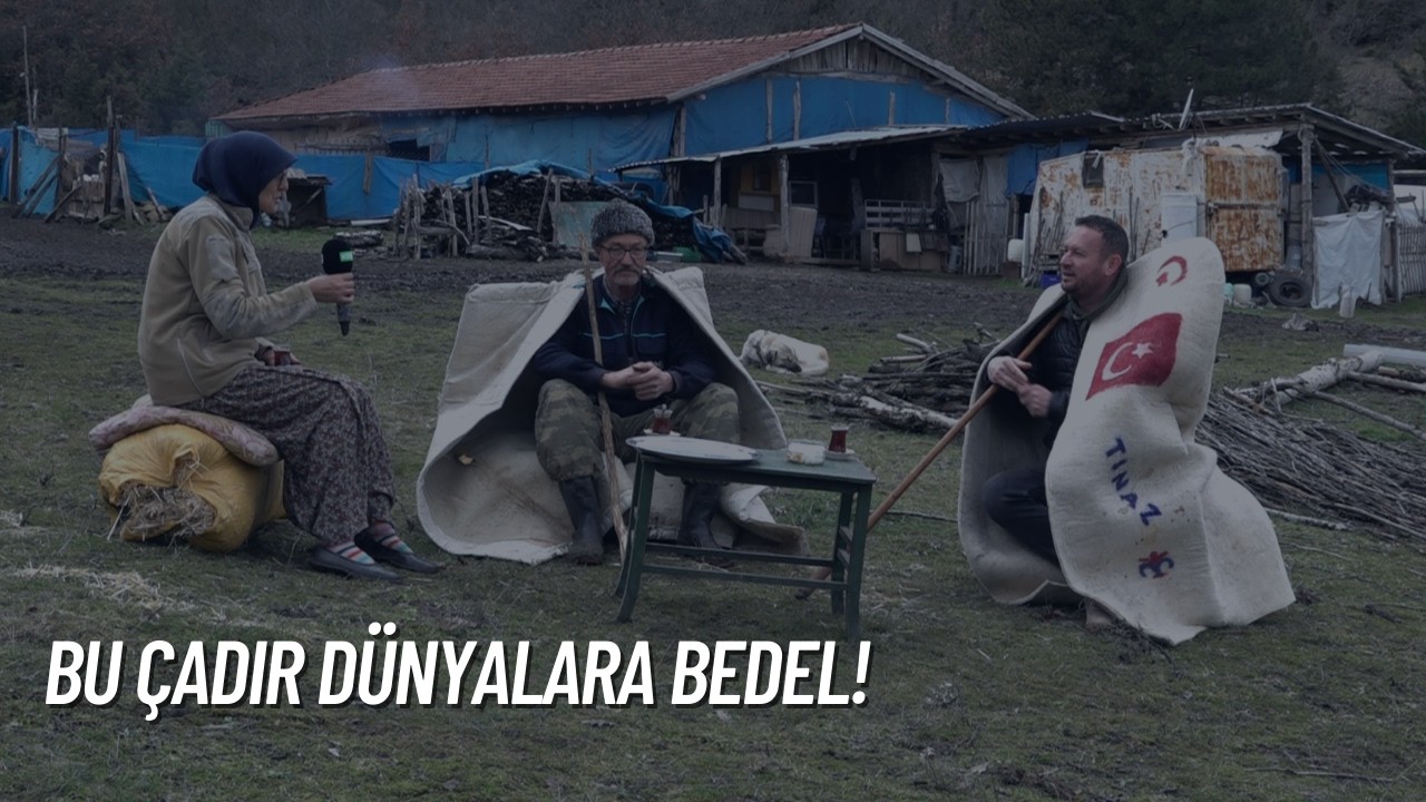 BOZÜYÜK'DE KÜÇÜKBAŞ HAYVAN YETİŞTİRİCİLİĞİ I ÇOBAN DÜNYASI