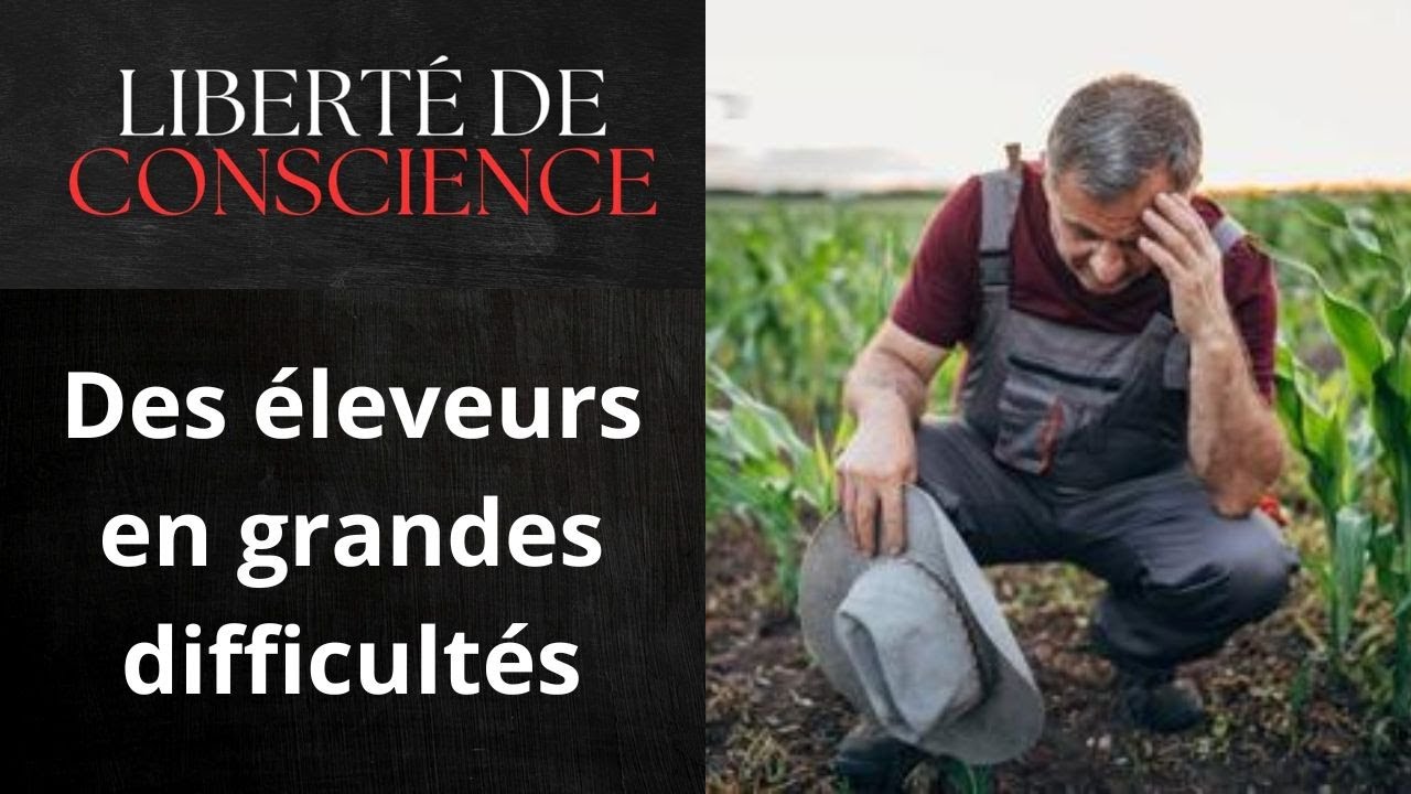 20/01 Les défis qui nous attendent #agriculteurs #éleveurs #solidarité