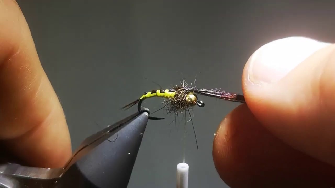 Tuto montage : nymphe pheasant back