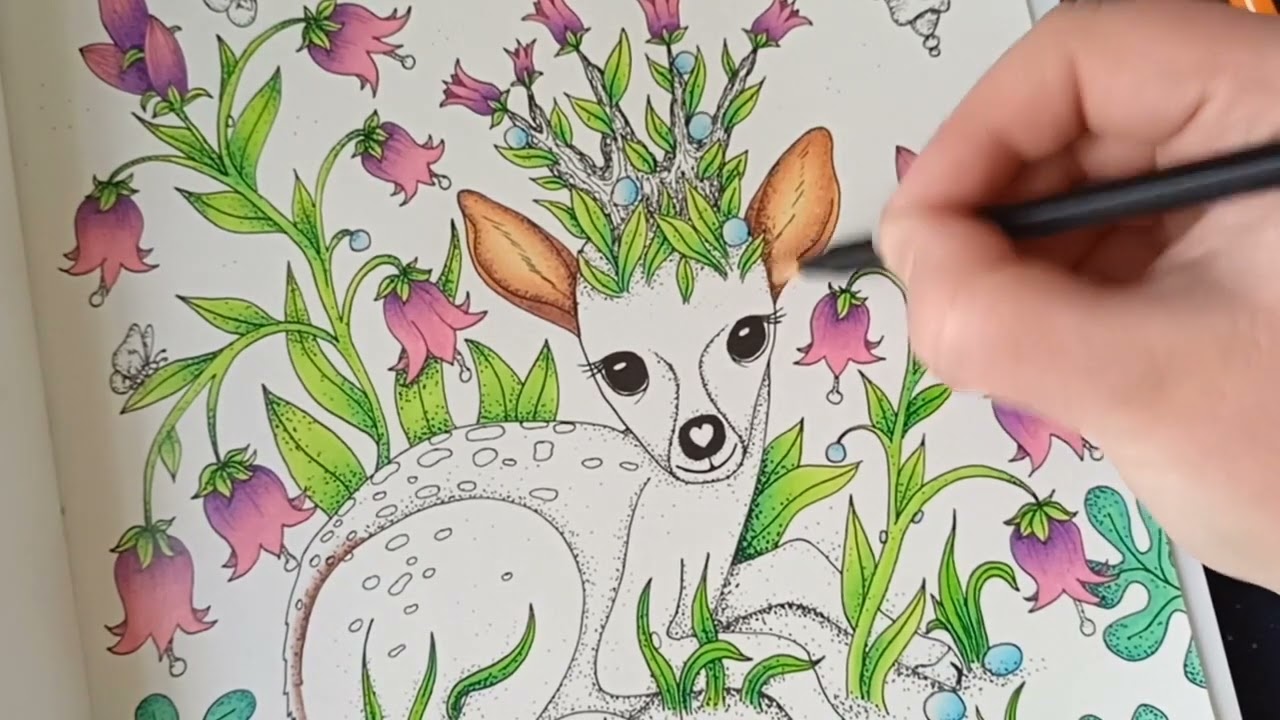 Klára Marková - Čarovné lahodnosti - Black Widow + Koh-i-noor Progresso aquarell