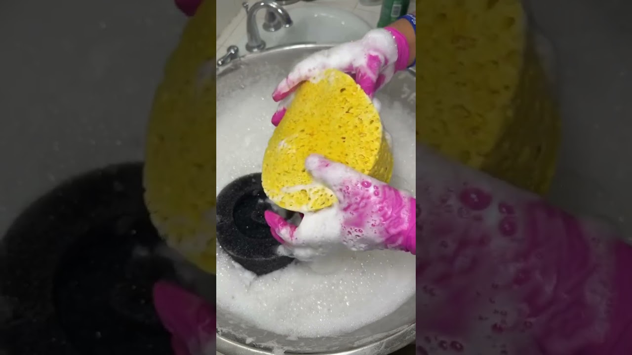 sponge🧽🧽 squeezing🧽🧽😩😩 🫧🫧🤌🤌😶‍🌫️😶‍🌫️LYCOBABE