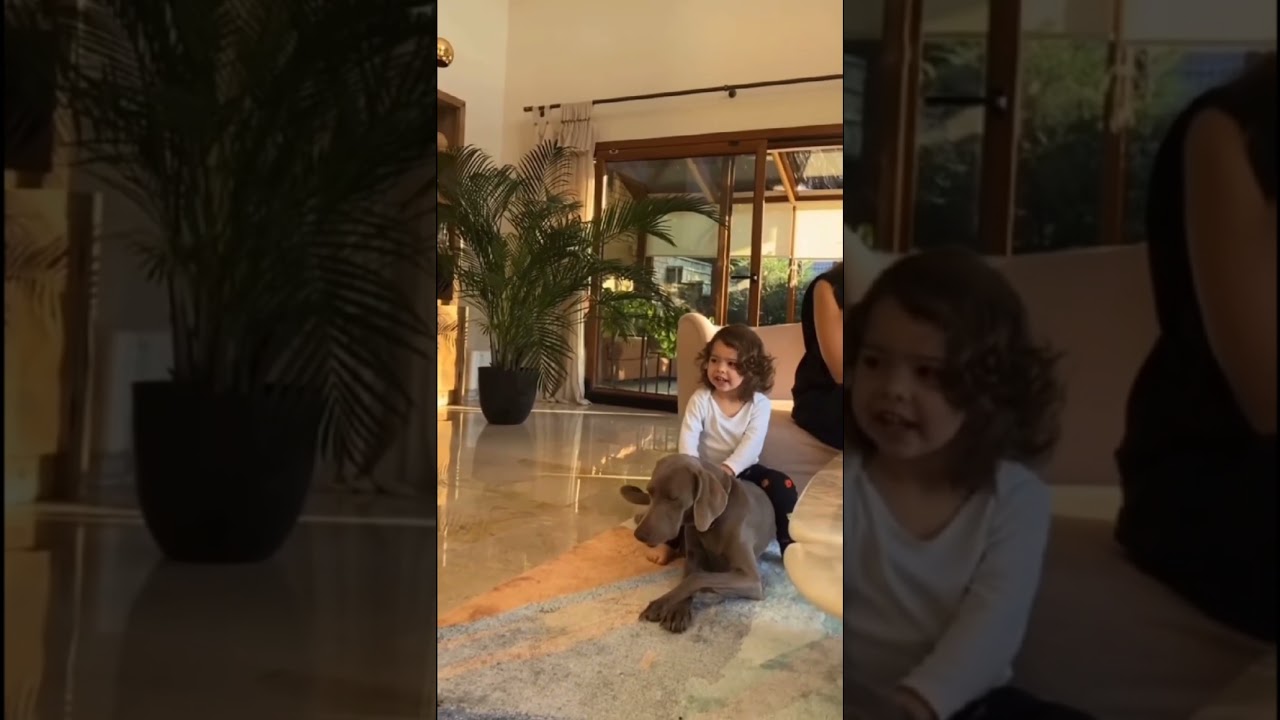 Hande Erçel'in yeğeni Mavi Erçel ve Azul Erçel'in birbirinden sevimli halleri 😍😍