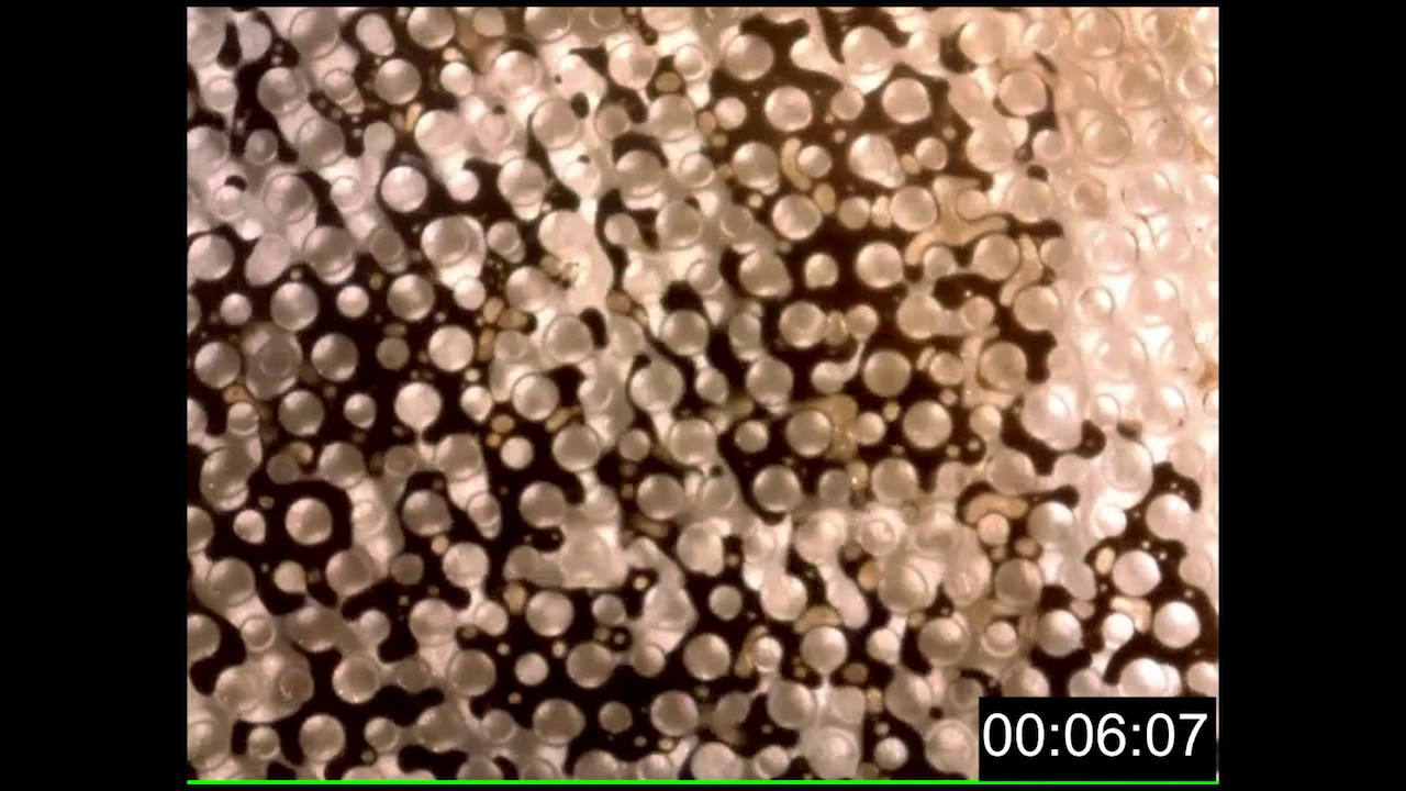 Visual Reservoir - Episode Four: Steam Assisted Gravity Drainage