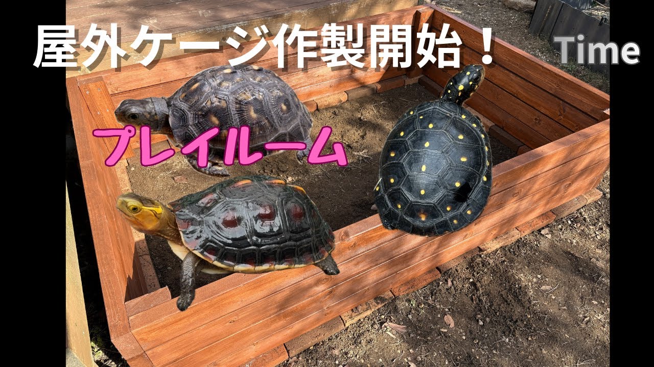 ＃9　子亀用屋外ケージ作製