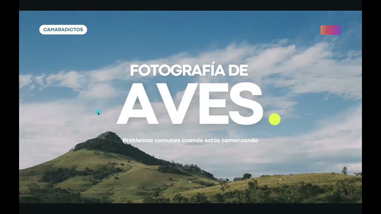Fotografía de aves - CLASE GRATUITA COMPLETA
