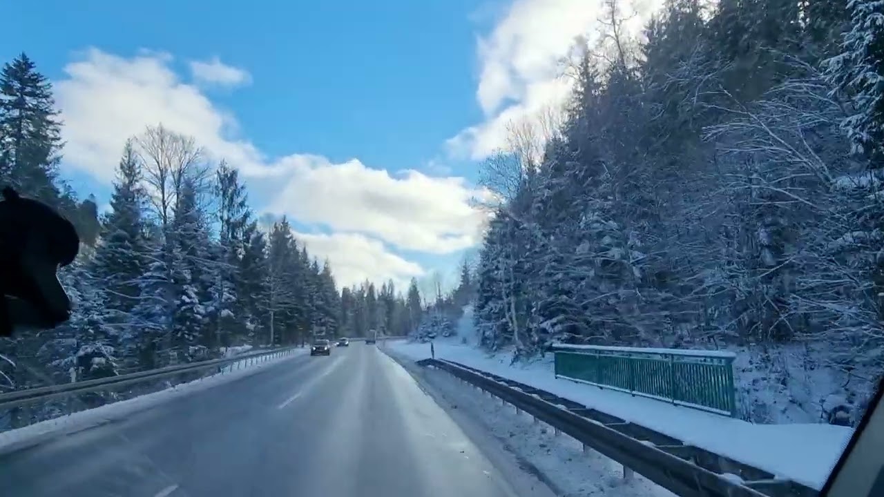 Winter am Schluchsee ❄️ Fahrt durch den verschneiten Schwarzwald | Januar Landschaft