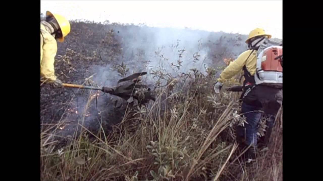 Uso do soprador em combates a incêndios florestais