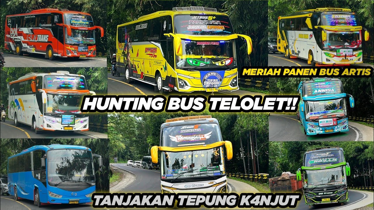 MERIAH FULL BASURI BUS TELOLET!!! HUNTING BUS DI TANJAKAN VIRAL‼️ PANEN BUS ARTIS 😋🤩