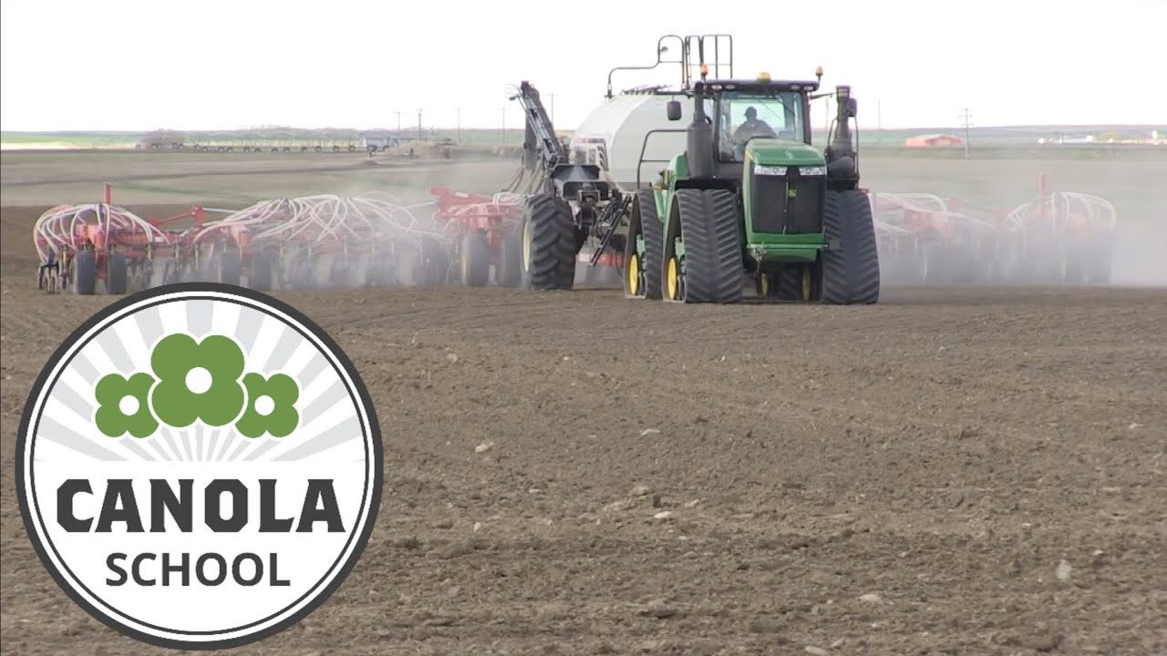 Canola School: Starter fertilizer considerations