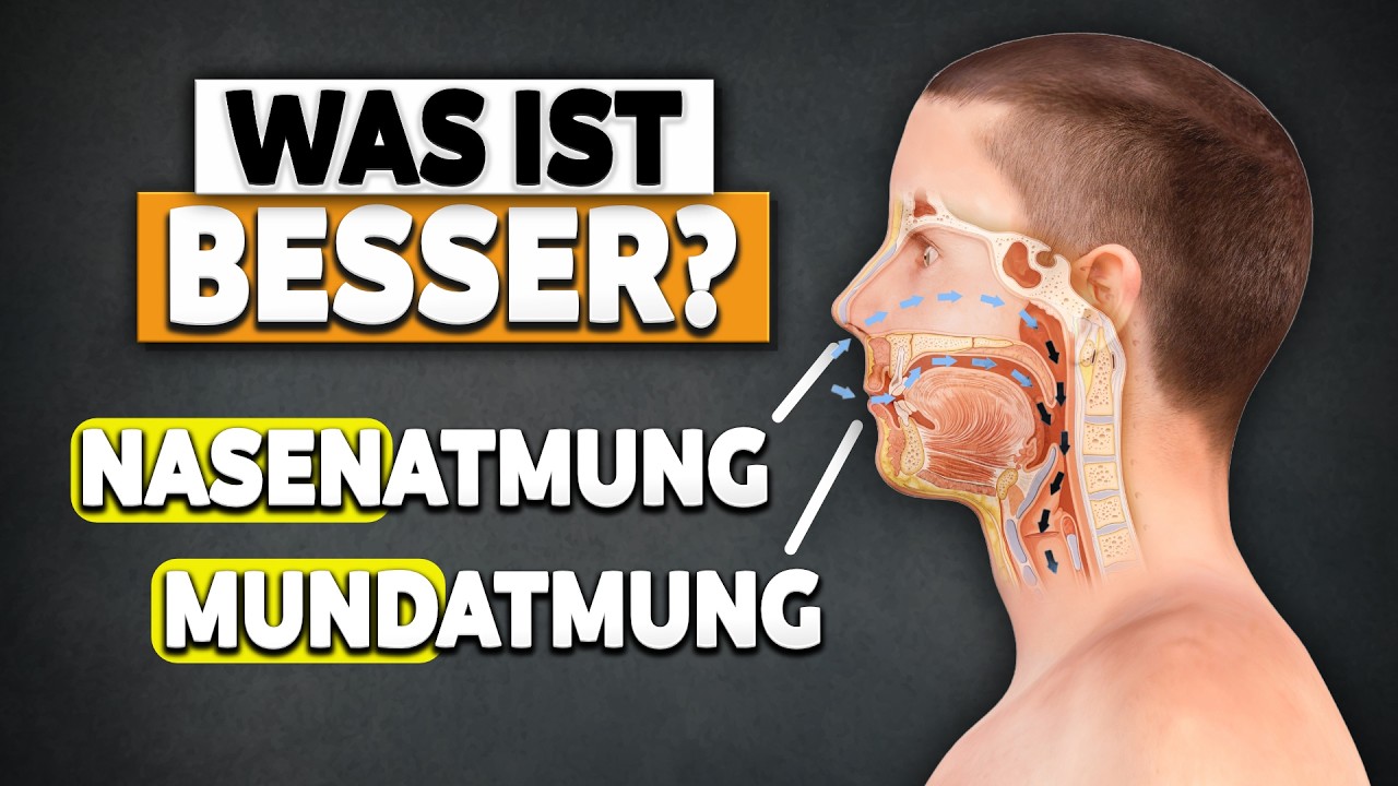Durch die Nase oder den Mund atmen - Was ist gesünder? (Interview: Christoph Glaser)