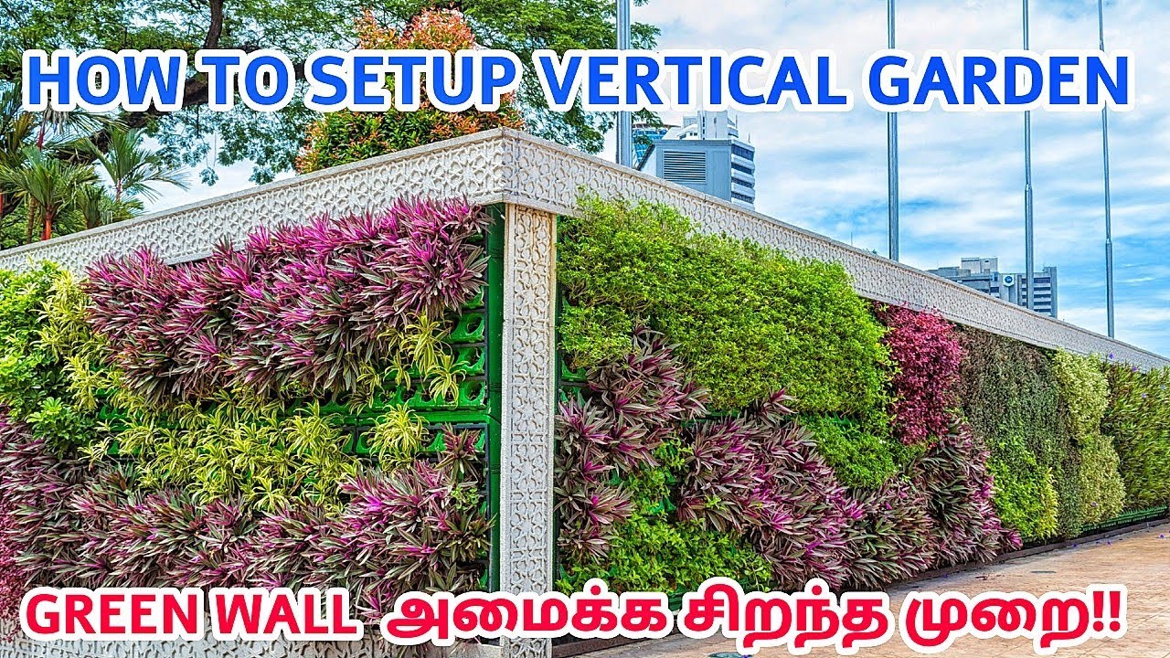 How to Install Vertical Garden in Low Cost- தமிழில் | Green wall | Gardening Ideas Tamil