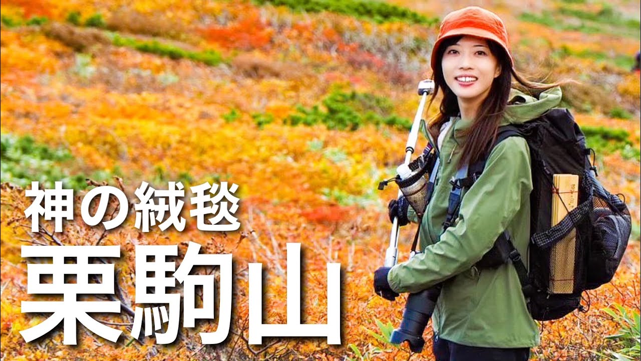 【東北遠征】これが見たかった！粘りに粘ってやっと見れた神の絨毯！栗駒山