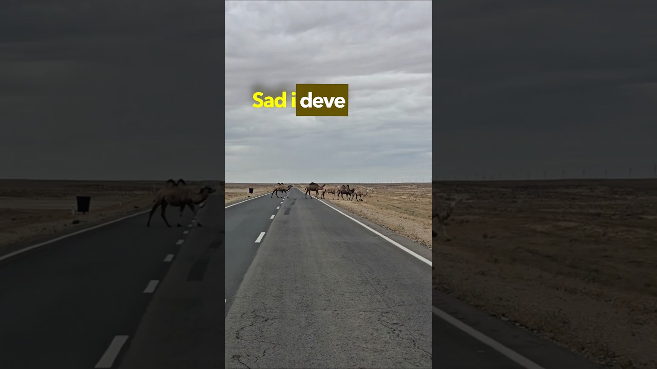 Nije 26 km, nije 260 km..nego 2600 km🤯 Evo rekorder u fulavanju granice 🙈 Ima li tko jači?? 🤣 #mg2fu