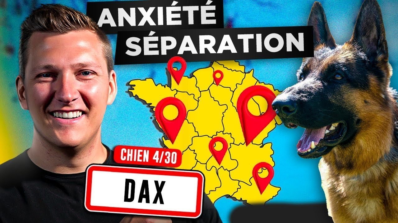 Chien Anxieux, Il Ne peut rester seul, Quoi faire ? Jour 4