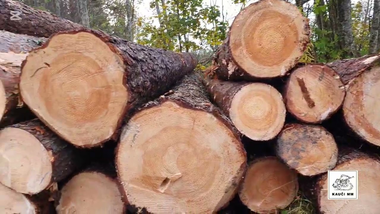 Kauči MM #woodworking #homemade #forwarder 