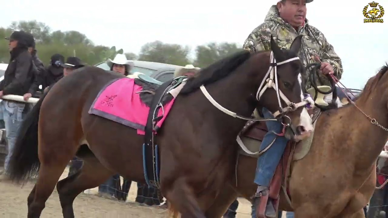 La nena vs el lupito vs la mariposa rio verde race track 